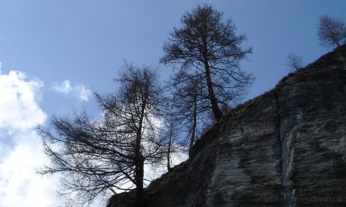 DSC06232-Schrager-Baume-.jpg