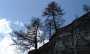 DSC06232-Schrager-Baume-