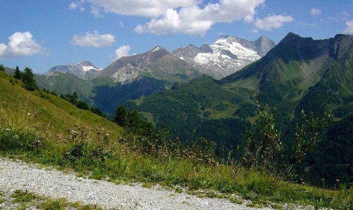 DSC00712LawVerbZirmaOlperer.JPG