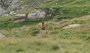 IMG_9783-Murmele