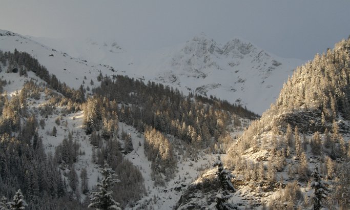 IMG_7643.JPG