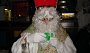 DSC01116-Nikolauswatten