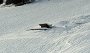 IMG_0300-StadelSchnee