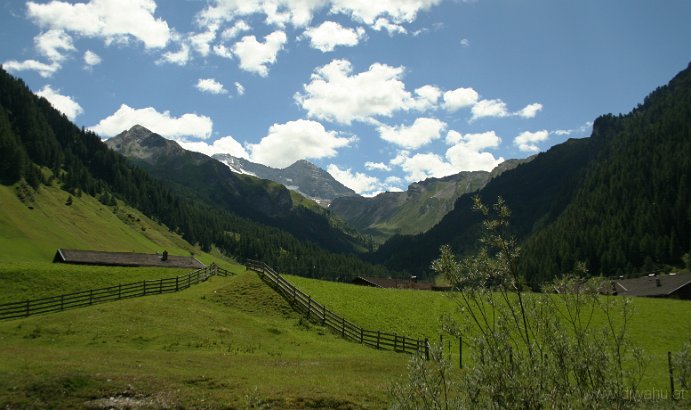 IMG_9646-OlpererWildlahner.jpg