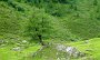 DSC00460-IsseBaum