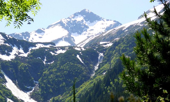 Dsc00248-Laponis.jpg