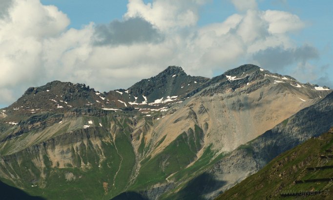 IMG_4705-RecknerGeier.jpg