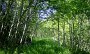 DSC03412-Staudengang