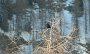 IMG_0437-Rabe-