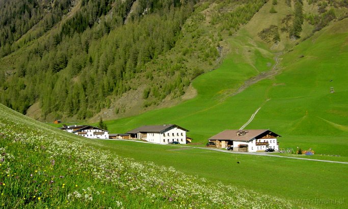 DSC01898-GlinznOben.JPG