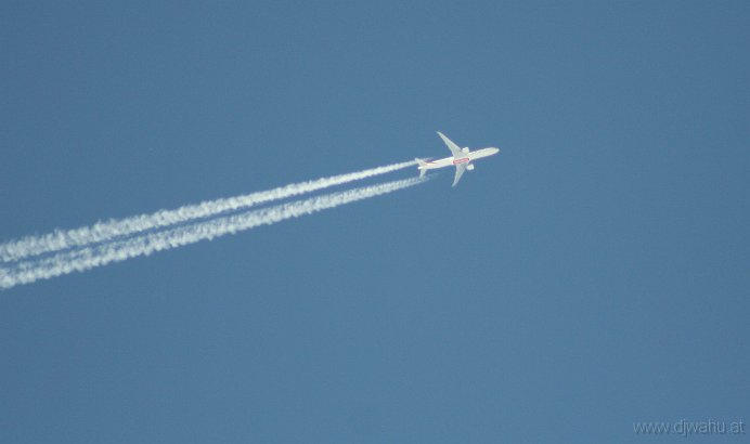 IMG_8057.JPG
