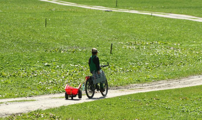 IMG_8281-DerWeg.jpg