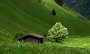 DSC03207-InVals