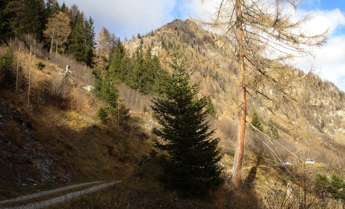 DSC05967-BaumBacheralm.jpg