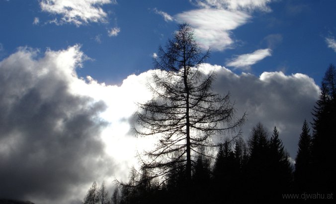 DSC05969-BaumWolken.jpg