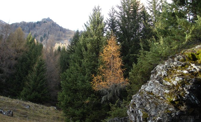 DSC05985-Dachsgufelonnenkopf.jpg