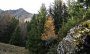 DSC05985-Dachsgufelonnenkopf