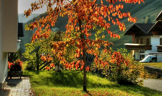 IMG_2570-Herbst.jpg