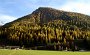 DSC04180-WeisseWandimHerbst2005